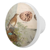 Vintager botanischer Vogel Nest Egg Skript Ephemer Keramikknauf (Rechts)