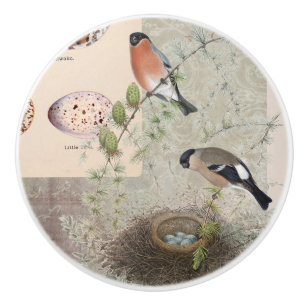 Vintager botanischer Vogelnest-Eier Kaktus Ephemer Keramikknauf