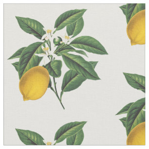 Vintager Botanischer Zitronenfruchtblossom Stoff