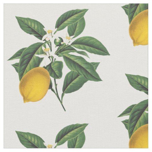 Vintager Botanischer Zitronenfruchtblossom Stoff (Nahaufnahme)