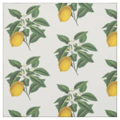 Vintager Botanischer Zitronenfruchtblossom Stoff (Muster)