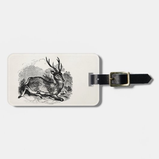 Vintager Brache-Rotwild-Dollar-personalisierte Gepäckanhänger (Vorderseite horizontal)