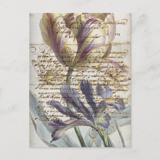 Vintager Brief Postkarte (Vorderseite)