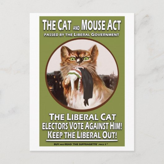 Vintager britischer Suffragette Cat and Mouse Act Postkarte (Vorderseite)