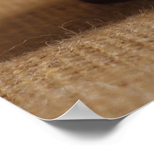 Vintager Brustkasten Poster (Ecke)