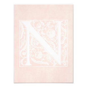 Vintager Buchstabe N Monogramm Rose Rosa Pergament Fotodruck