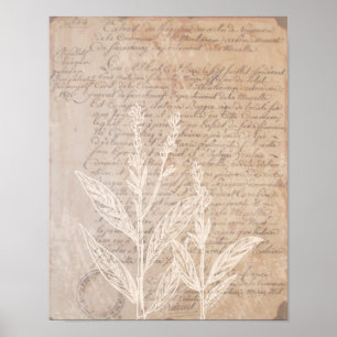 Vintager Buchstabe und botanisches Druck-Plakat Poster