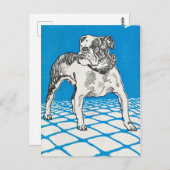 Vintager Bulldog Postkarte (Vorne/Hinten)