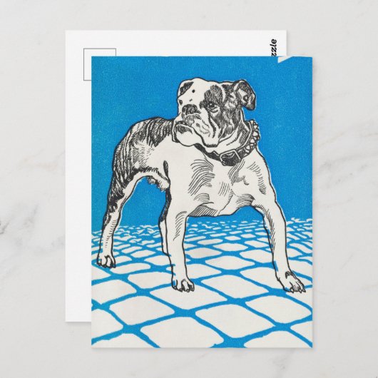 Vintager Bulldog Postkarte (Vorne/Hinten)