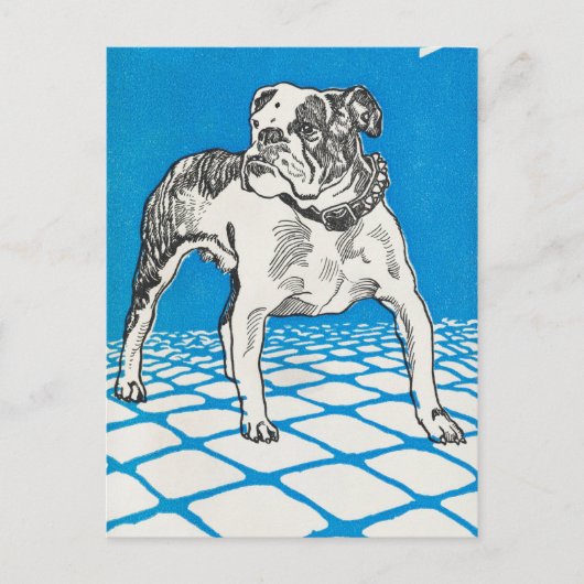 Vintager Bulldog Postkarte (Vorderseite)