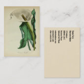 Vintager Calla-Lilien-Blume| botanischer Visitenkarte (Vorne/Hinten)