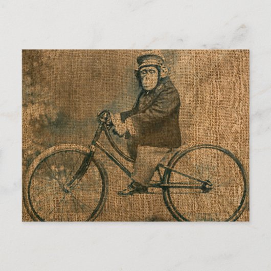 Vintager Chimp Fahrrad fahren Postkarte (Vorderseite)