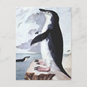 Vintager Chinstrap Pinguin, Vögel aus der Antarkti Postkarte