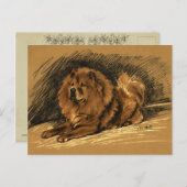 Vintager Chow-Hund Postkarte (Vorne/Hinten)