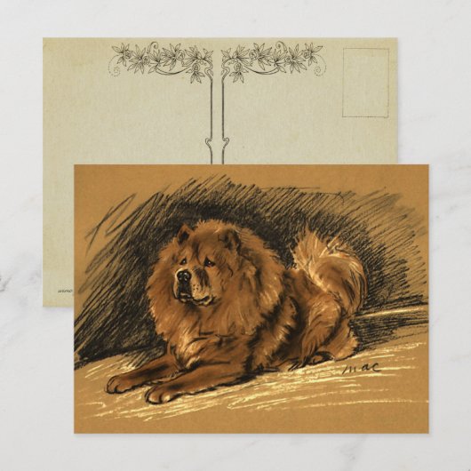 Vintager Chow-Hund Postkarte (Vorne/Hinten)