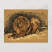 Vintager Chow-Hund Postkarte (Vorderseite)