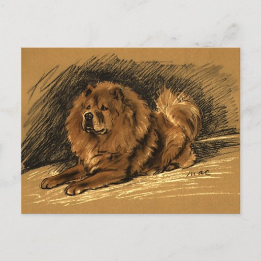 Vintager Chow-Hund Postkarte (Vorderseite)