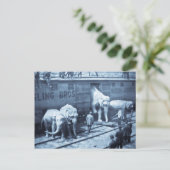 Vintager Circus Elefanten Ringling Bahnwagen Postkarte (Stehend Vorderseite)