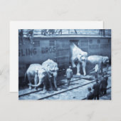Vintager Circus Elefanten Ringling Bahnwagen Postkarte (Vorne/Hinten)