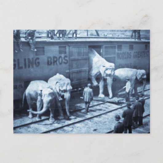 Vintager Circus Elefanten Ringling Bahnwagen Postkarte (Vorderseite)