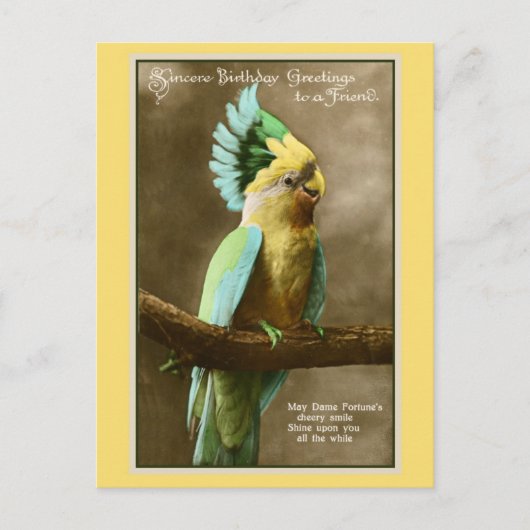Vintager Cockatoo-Freund Geburtstagsfest Foto Postkarte (Vorderseite)