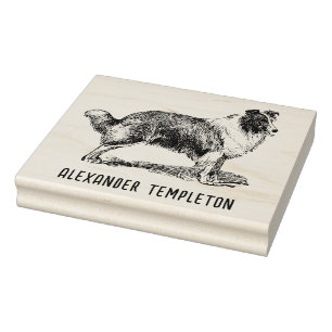 Vintager Collie Dog Zeichnend Name Gummistempel