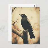 Vintager Crow-Stil Postkarte (Vorne/Hinten)