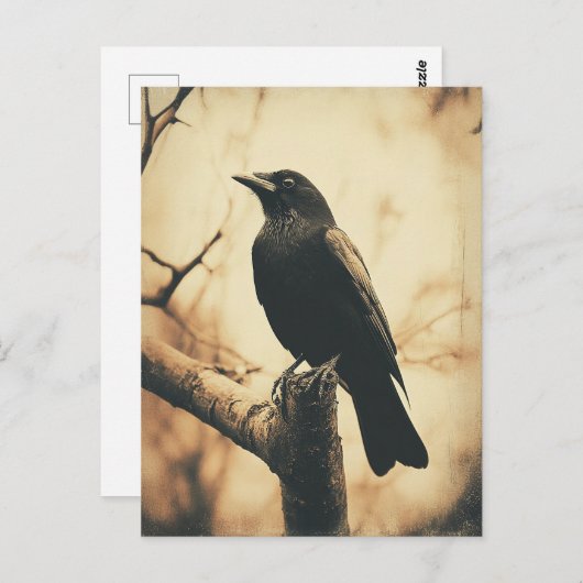 Vintager Crow-Stil Postkarte (Vorne/Hinten)