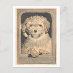 Vintager Currier & Ives Hund rauchen am Stück Postkarte
