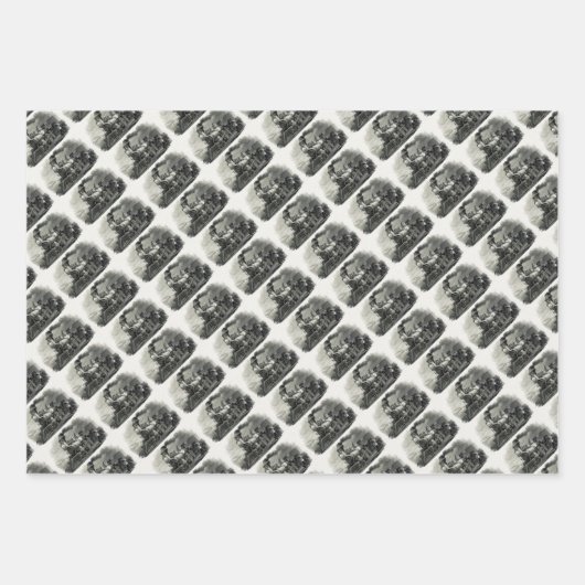 Vintager Dampfzug Geschenkpapier Set (Vorderseite 2)