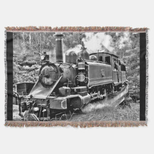 Vintager Dampfzug in Schwarz/Weiß Motor Decke
