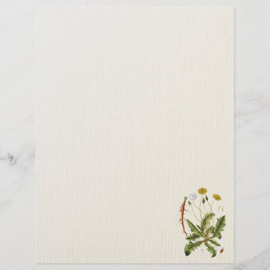 Vintager Dandelion Illustration Flyer (Vorne)