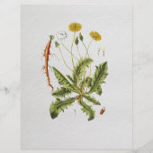 Vintager Dandelion Illustration Flyer (Hinten)