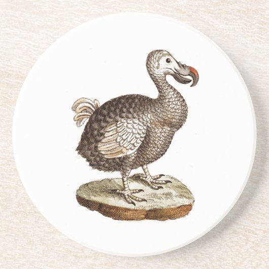 Vintager Dodo-VogelRetro Dodos-Vögel 1700s Sandstein Untersetzer (Vorne)