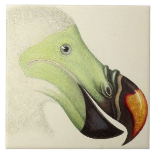 Vintager Dodoleiter Fliese