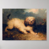 Vintager Dog Print Cavapoo Sofortdownload Poster (Vorne)