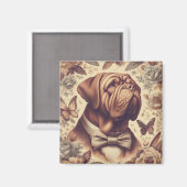 Vintager Dogue de Bordeaux Illustration Magnet (Vorderseite/Rückseite)