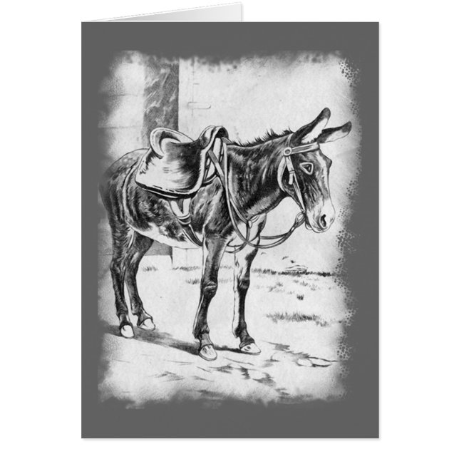 Vintager Donkey mit Sattelkarte (Vorne)
