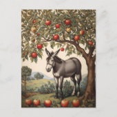 Vintager Donkey unter einem Apfelbaum Postkarte (Vorderseite)