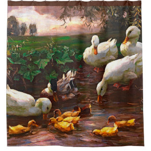 Vintager Drachen mit weißen Enten und gelben Enten Duschvorhang