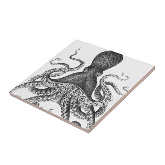 Vintager Drucktopf Fliese (Seite)