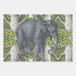 Vintager Elefant Geschenkpapier Set