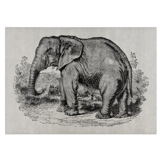 Vintager Elefant-personalisierte Elefant-Tiere Schneidebrett (Vorderseite)