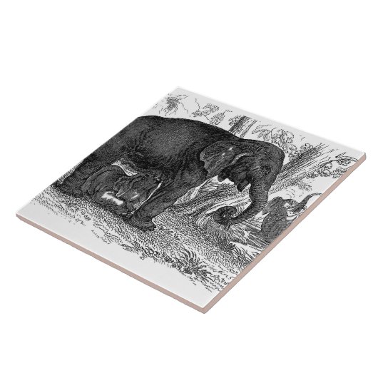 Vintager Elefant Zuhause-Bürodekor Fliese (Seite)