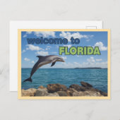 Vintager Empfang in Florida Dolphin Postkarte (Vorne/Hinten)