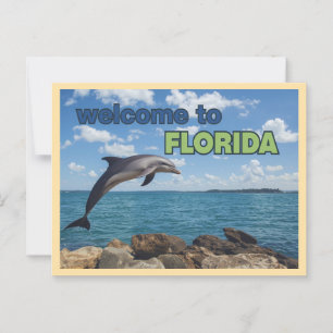 Vintager Empfang in Florida Dolphin Postkarte