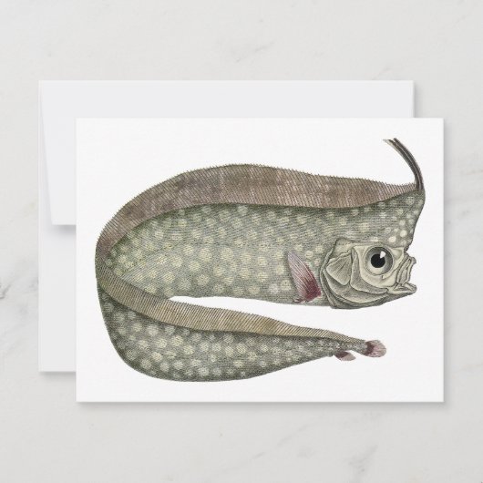 Vintager, entkörnter Orangenfisch, Meeresaquatisch (Vorderseite)