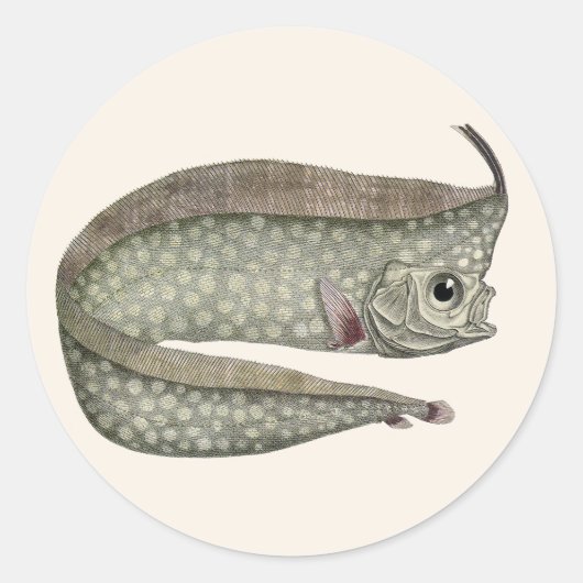 Vintager, entkörnter Orangenfisch, Meeresaquatisch Runder Aufkleber (Vorderseite)