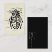 Vintager Entomologie Hydrophilidae Reiniger-Käfer Visitenkarte (Vorne/Hinten)