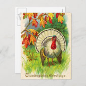 Vintager Erntedank Türkei Feiertagspostkarte (Vorne/Hinten)